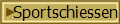 Sportschiessen